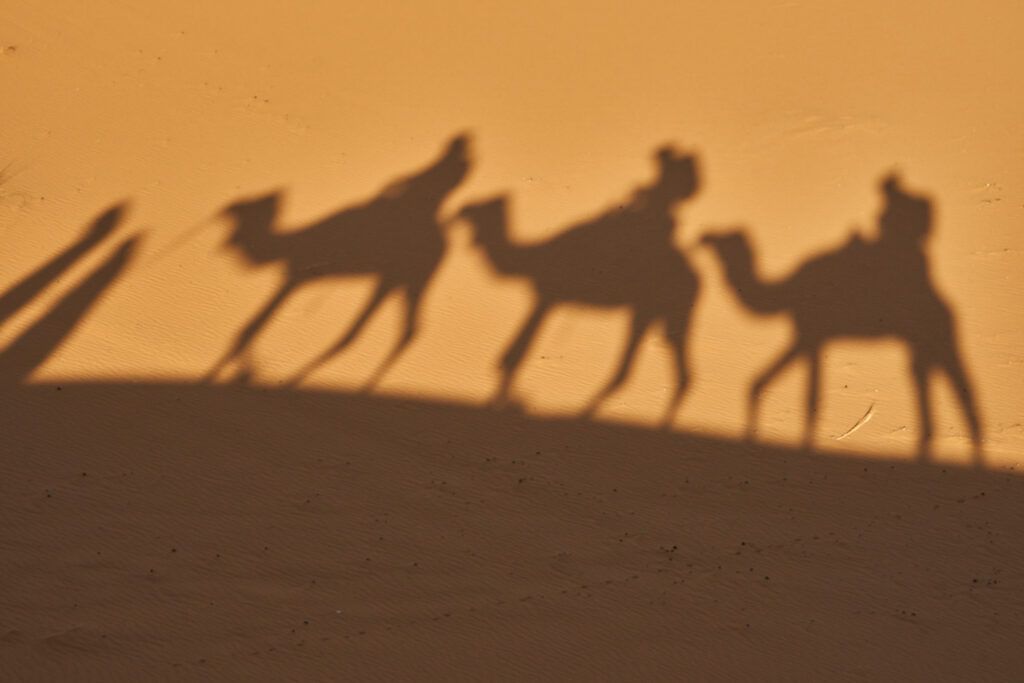 La Cabalgata de Reyes en Villajoyosa: una tradición mediterránea para vivir en familia 1 shadow on sand of camels and people 2025 04 03 21 16 17 utc